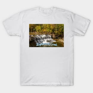 Taughannock Creek Tompkins County New York T-Shirt